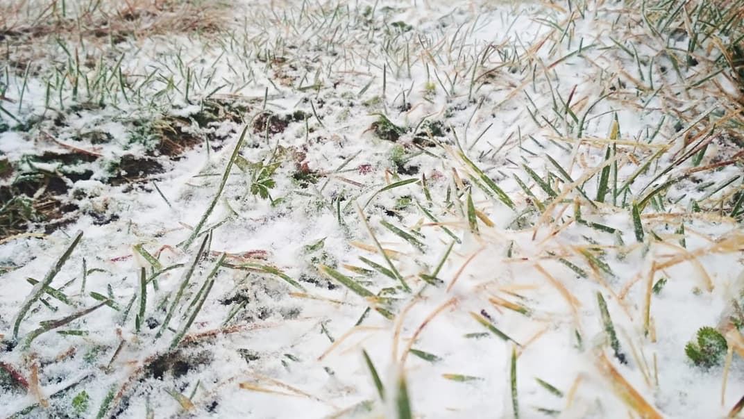 У Карпатах наприкінці вересня випав сніг. На горі Пів Іван вранці було 0°С