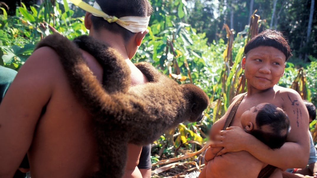 Корінний народ корубо в тропічному лісі Амазонії