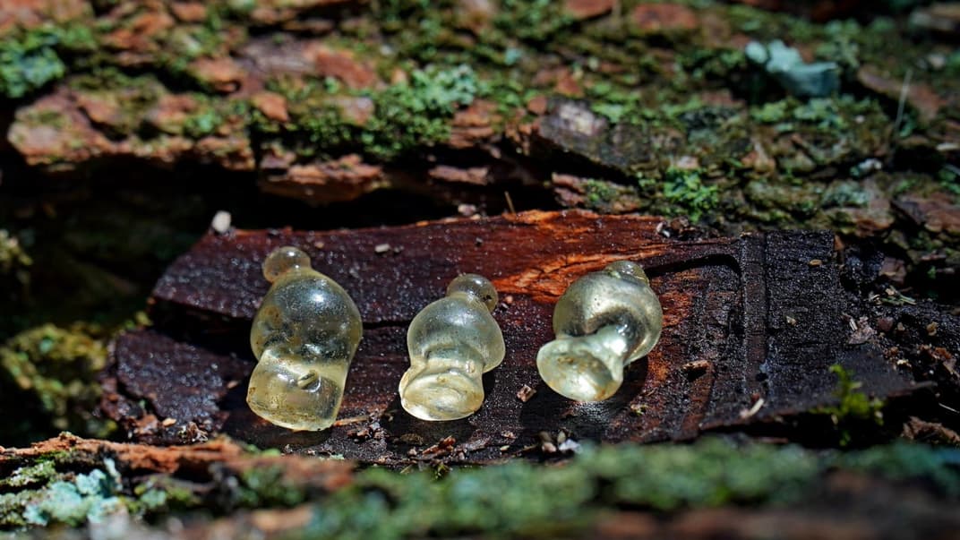 В Полтавской области археологи нашли уникальные стеклянные подвески, которым более двух с половиной тысяч лет