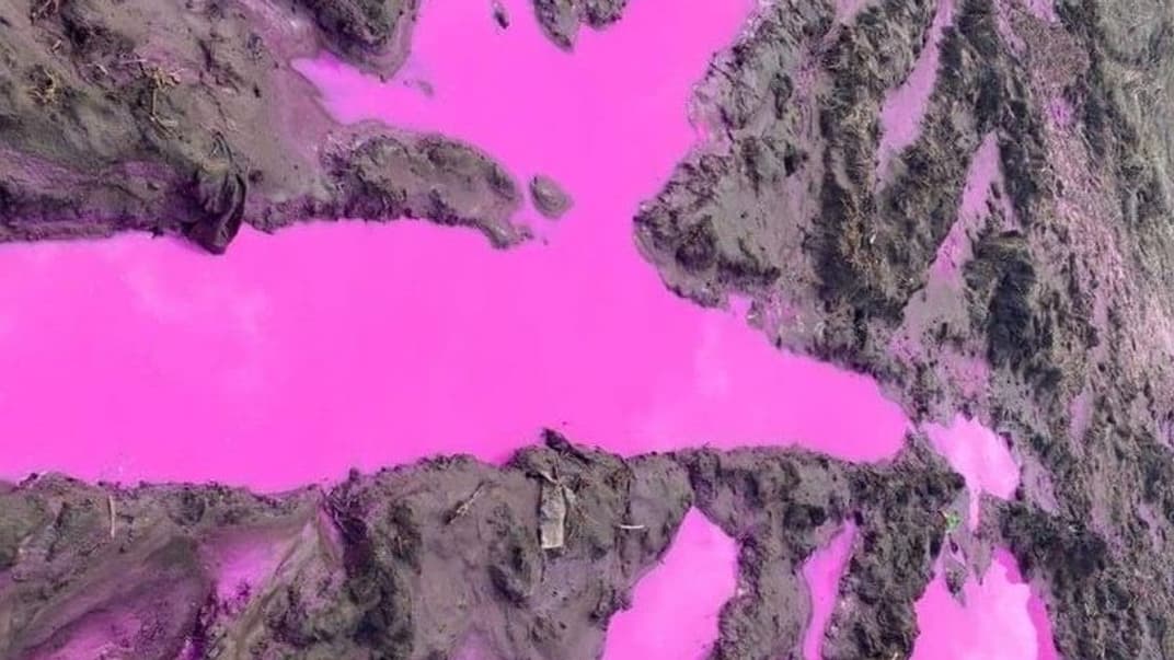 Розовые лужи вблизи Ровно