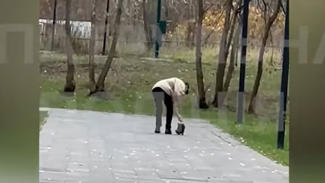 Чоловік знущався із собаки в Києві