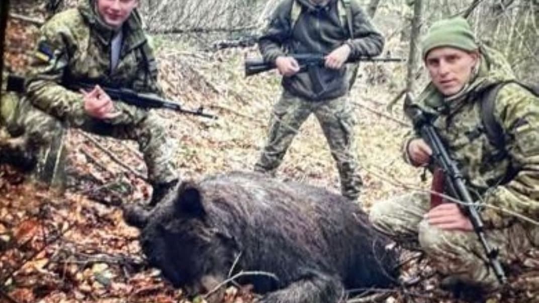 Закарпатських прикордонників звинувачують у вбивстві ведмедиці