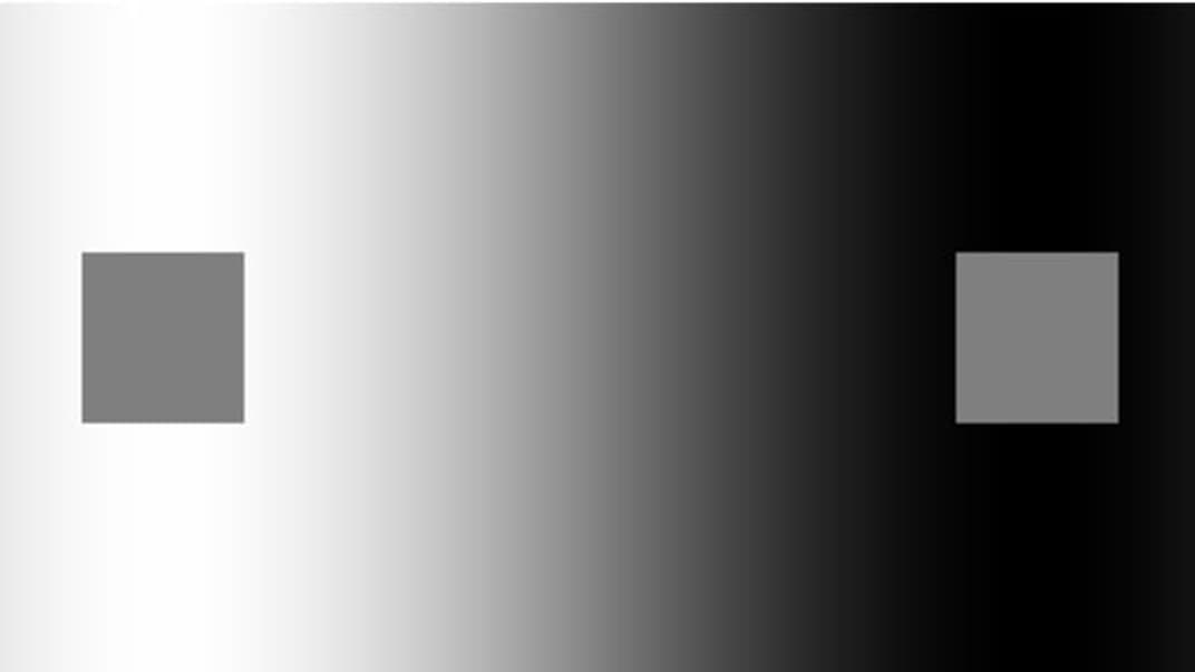 Ілюстрація одночасного контрасту яскравості: квадрат зліва здається темнішим, а справа — світлішим. Хоча насправді вони одного кольору
