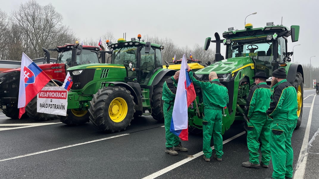 Протестувальники із прапорами Словаччини