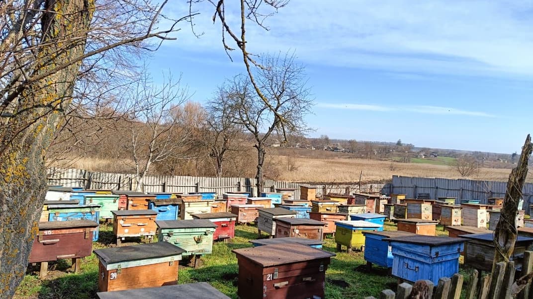 Пасека, которую пытался обокрасть мужчина