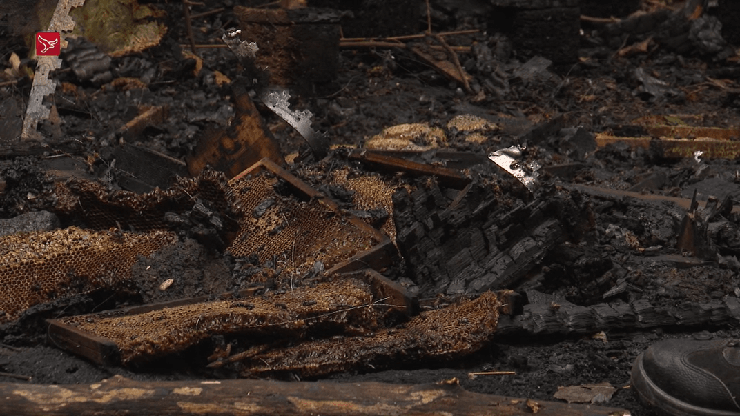 Згорівші вулики