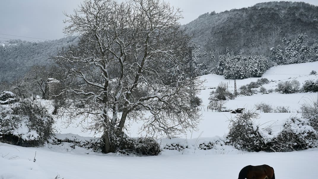 Конь пасется на снегу в небольшом поселке Эсноц на севере Испании в Пиренеях, 5 января 2021 года