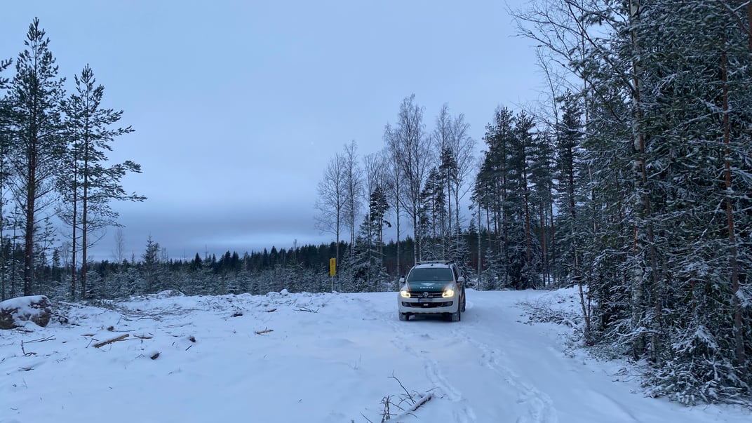 Територія поблизу східного кордону Фінляндії Ілюстративне фото. Територія поблизу східного кордону Фінляндії