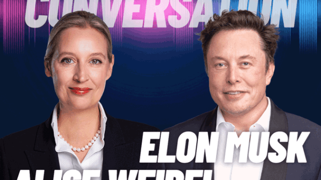 Анонс стріму Аліс Вайдель з Ілоном Маском