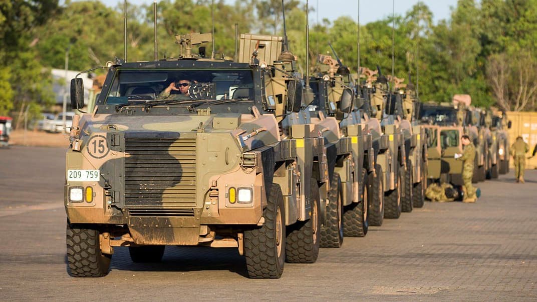 Bushmasters. Ілюстративне фото 