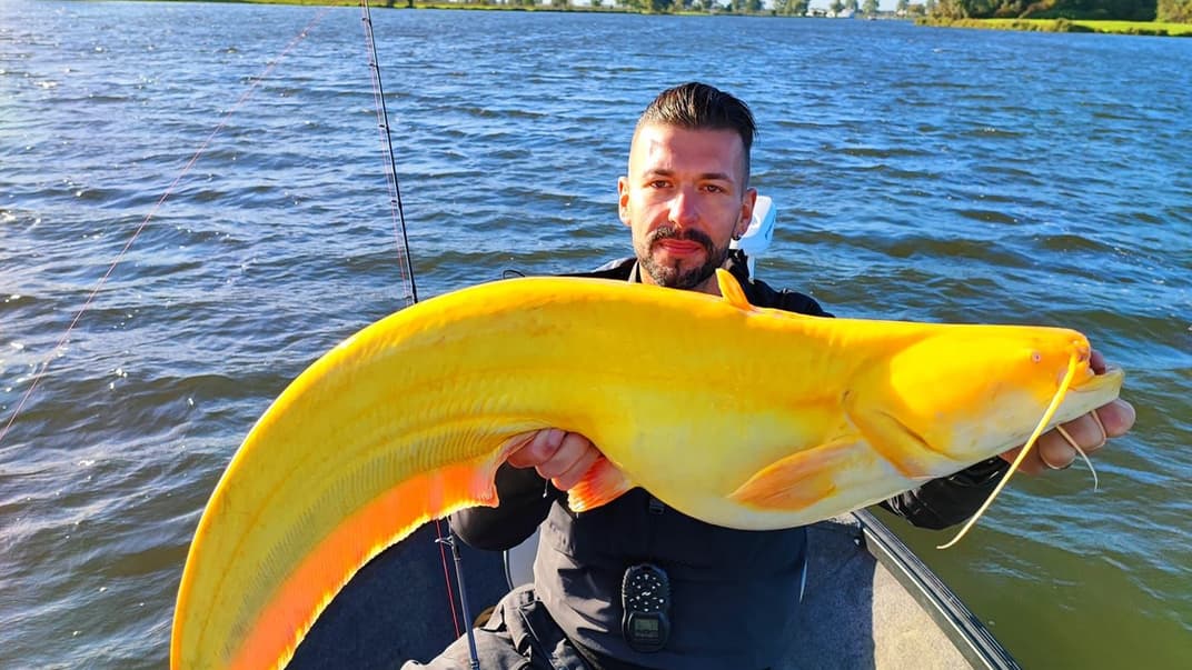 Мартін Ґлатц позує із сомом європейським жовтого кольору, жовтень 2021 року