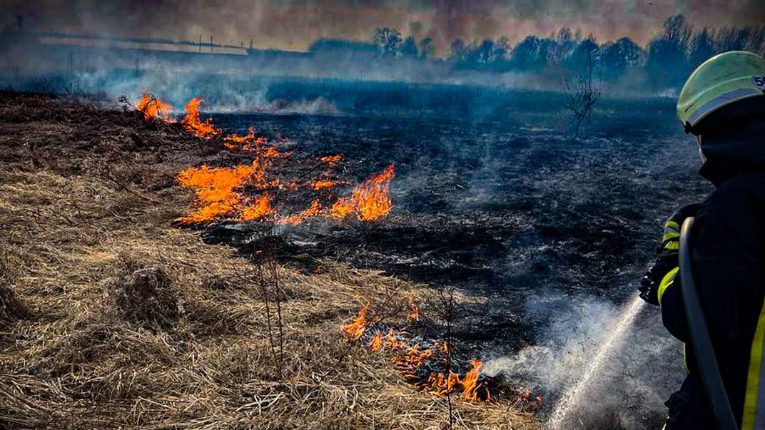 Надзвичайники гасять сухостій