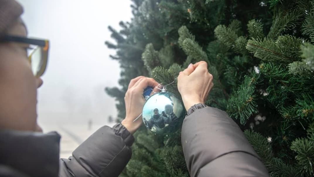 Установка елки в Киеве