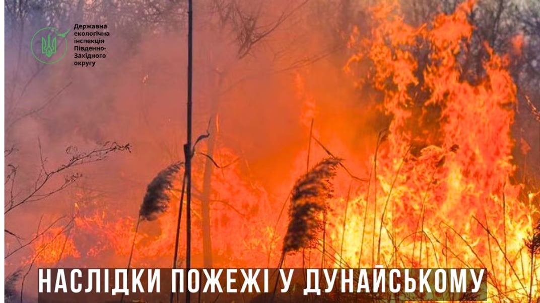 Пожежа у Дунайському біосферному заповіднику знищила 645 гектарів