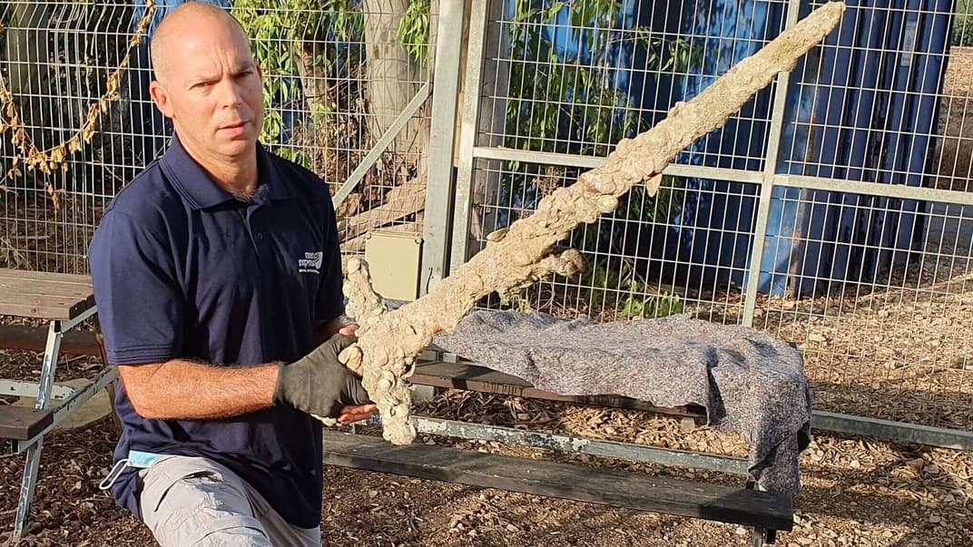 Представитель Управления древностями Израиля Нир Дистельфельд держит меч эпохи крестовых походов, найденный неподалеку от побережья Израиля