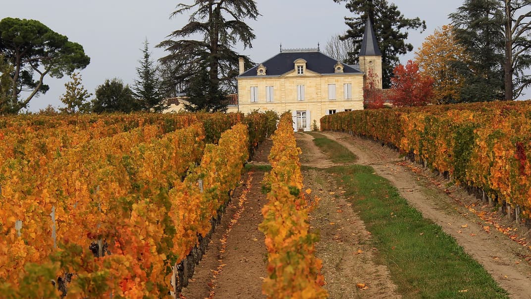 Французские виноделы придумали, как защитить урожай от града. Для этого нужны надувные шарики и высокоточный радар
