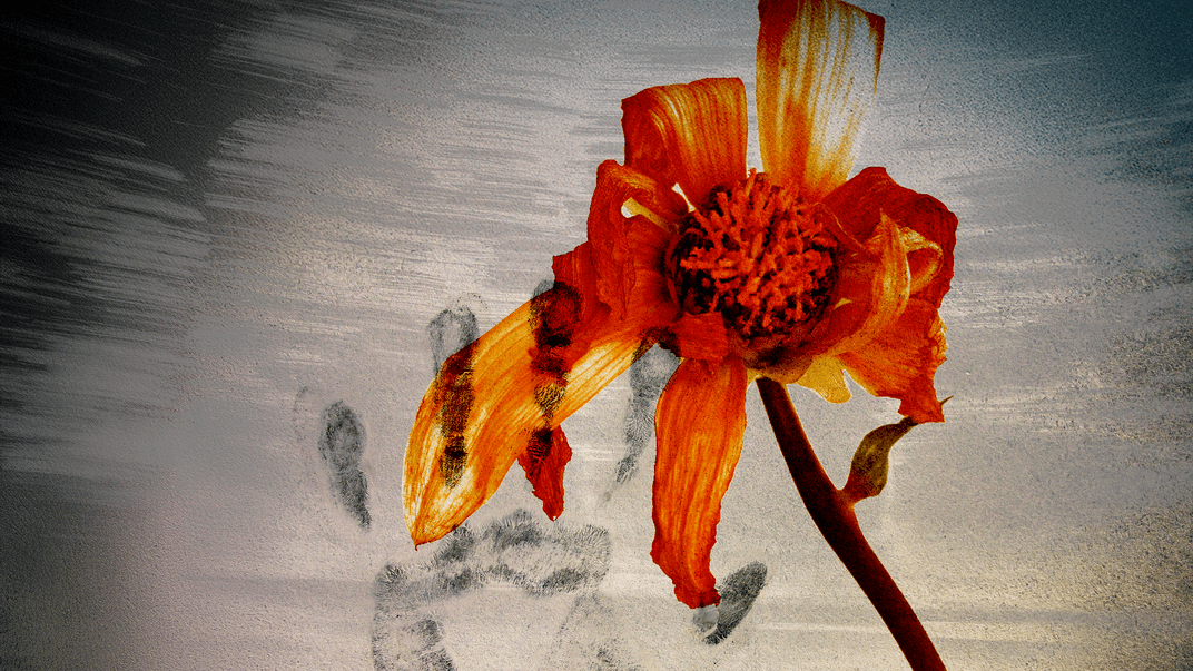 Ілюстративне зображення