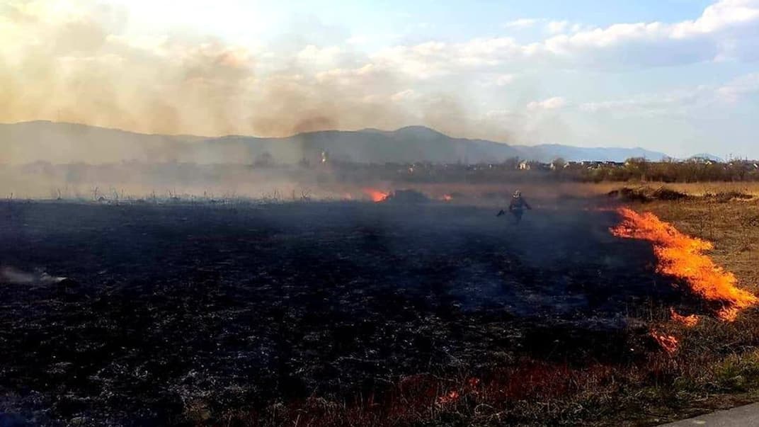 На Закарпатье мужчина сжег 9 га заповедника «Долина нарциссов»
