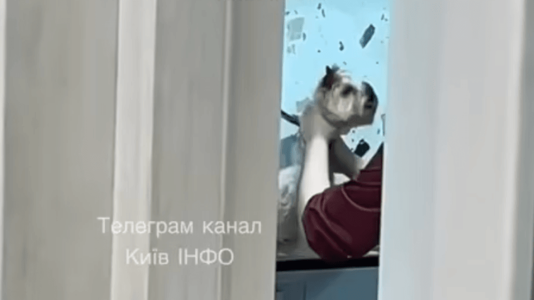 Собаку тримають за шию нібито в одному з грумінг-салонів Києва