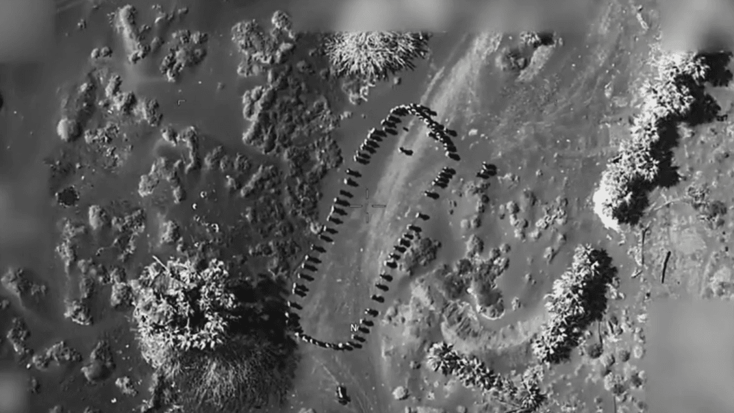 Єменські хусити, по яких США завдали авіаудару