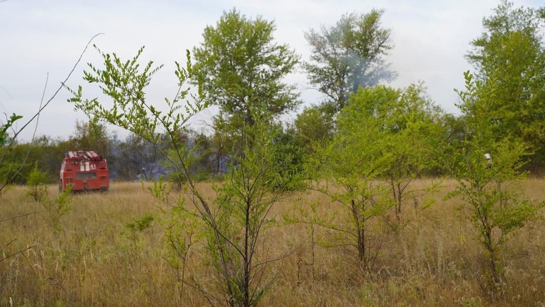 Осередки тління сухої трави, чагарників та лісової підстилки у Луганській області, 7 вересня 2020 року