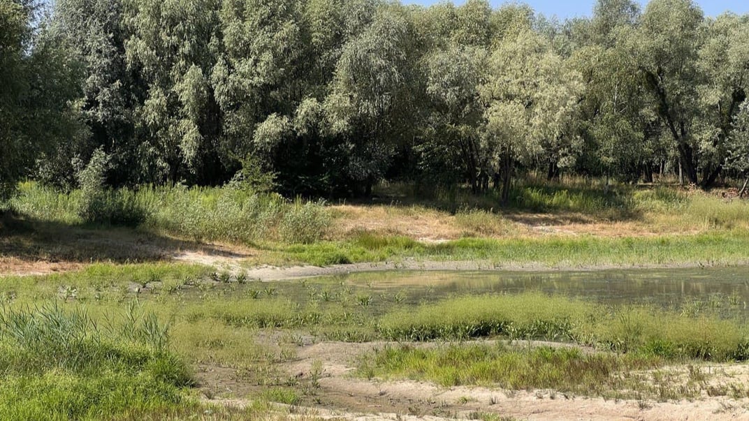 Озеро Синє у Києві фактично перестало існувати, повідомила депутатка Київської міськради Євгенія Кулеба