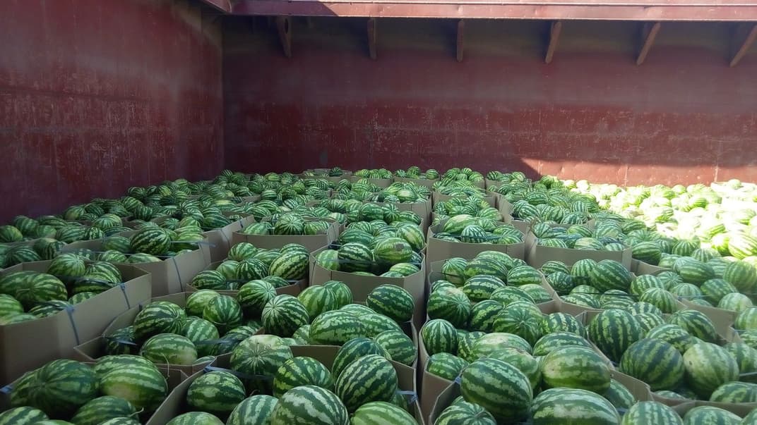 Херсонські кавуни, які прямують до Києва