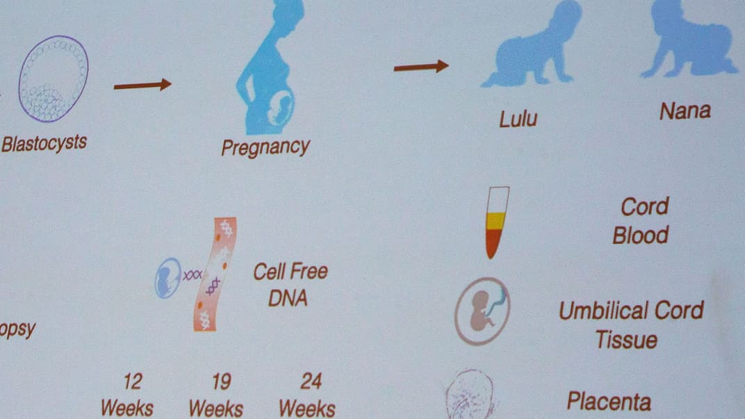 Лулу і Нана — псевдоними близнючок, які внаслідок експерименту китайського вченого Хе Цзянькуя вперше в історії народились з модифікованими генами