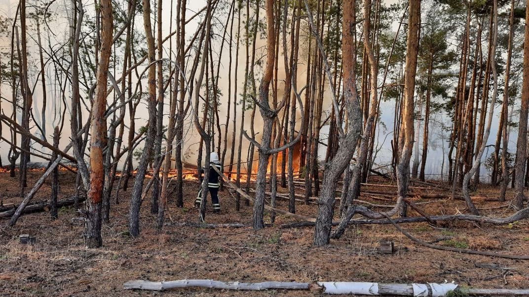 Лесные пожары в Луганской области