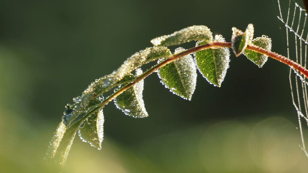 Ілюстративне фото