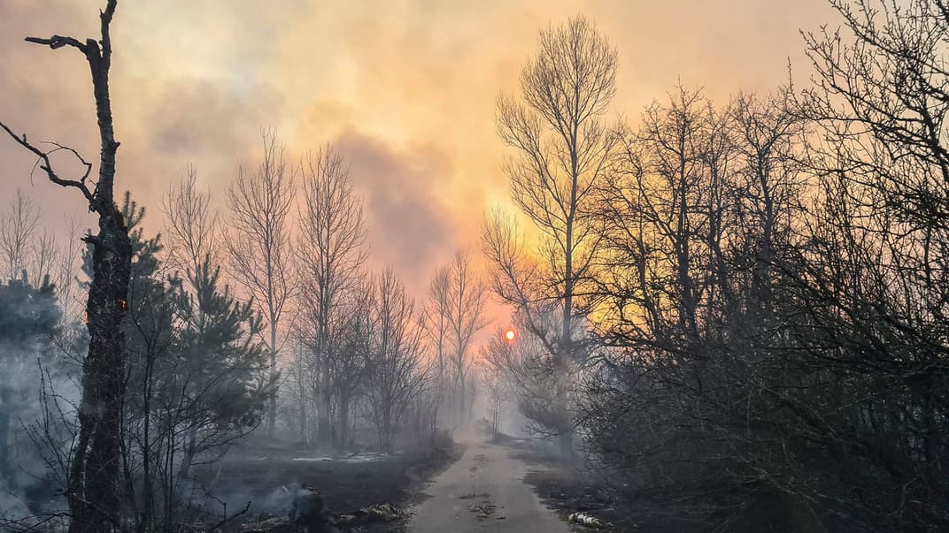 Лісова пожежа у Котовському лісництві біля села Володимирівка в Чорнобильській зоні відчуження, 5 квітня 2020 року