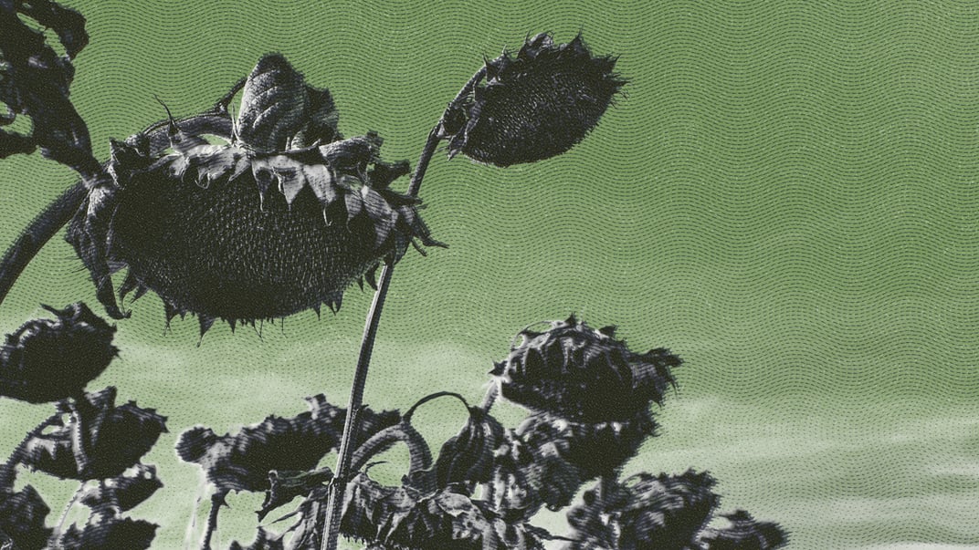 Ілюстративне зображення