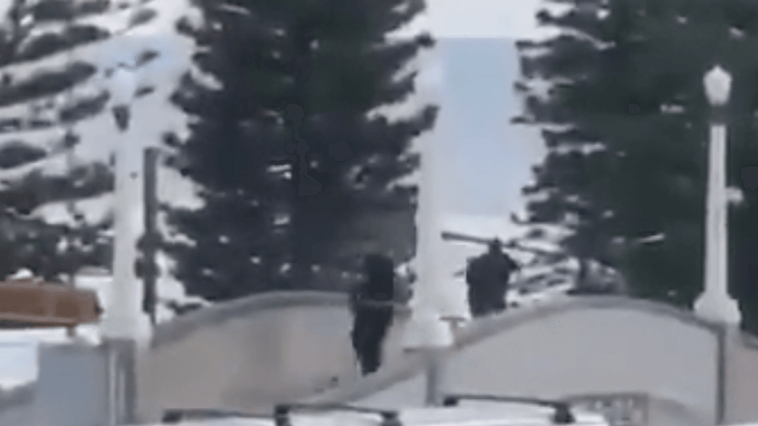 Невідомі, що відкрили вогонь по людях на австралійському пляжі Бонді Невідомі, що відкрили вогонь по людях на австралійському пляжі Бонді