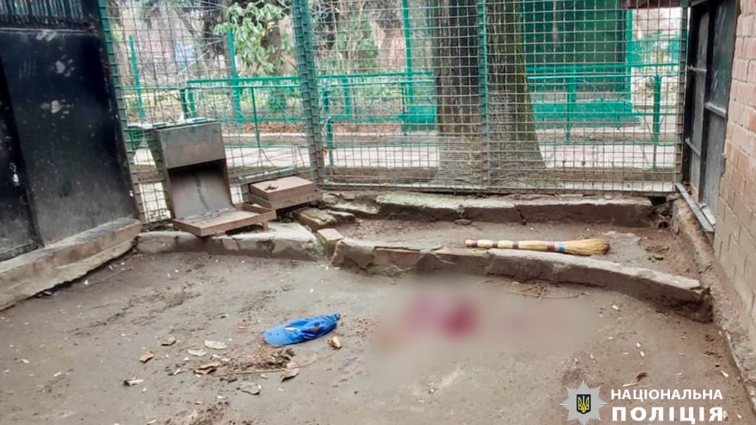 Вольер, где жил убитый леопард