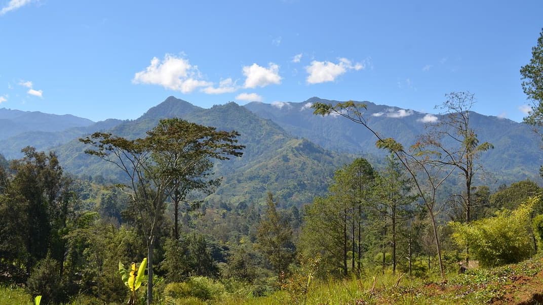 Краєвид у високогір'ї Папуа-Нової Гвінеї, країни на острові Нова Гвінея. Його визнали місцем із найбільшим різноманіттям росли на Землі
