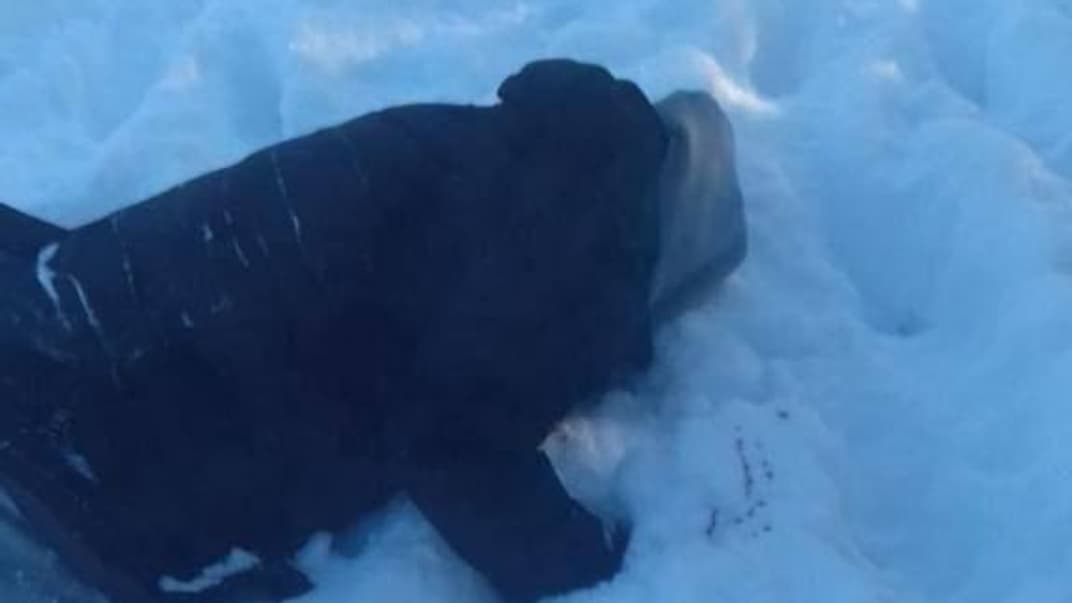 Фото з місця ліквідації Іллі Киви