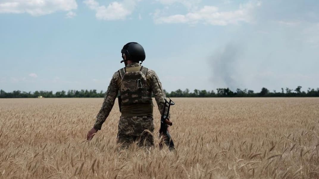 Иллюстративное фото: украинский военный стоит в поле пшеницы