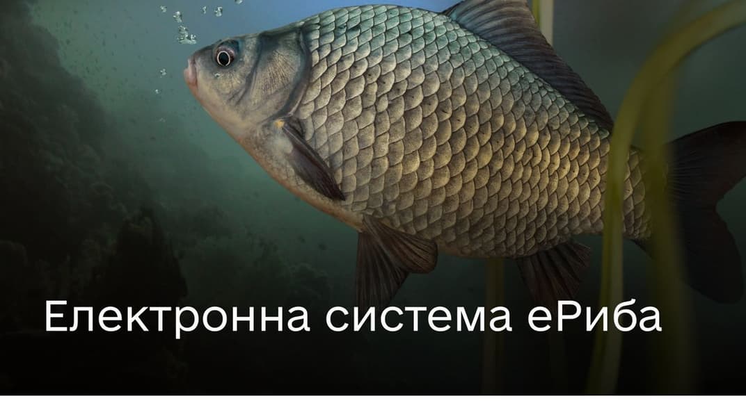 Иллюстративное фото