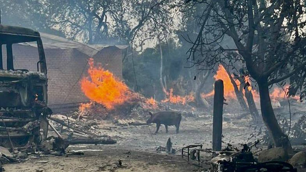 Наслідки російського удару по газовозу у Корюківському районі Чернігівської області, 3 жовтня 2024 року