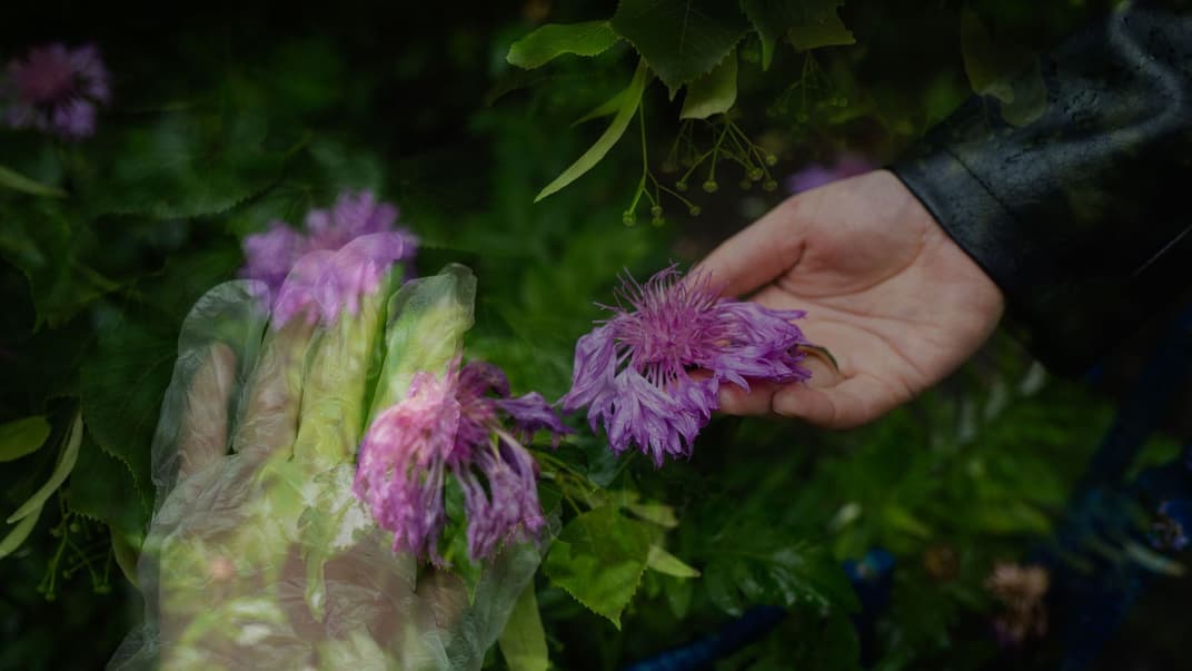 «Тебя как будто пересадили на Марс, а мозг очистили до состояния "табула раса"», — фотопроект о посткарантинных страхах