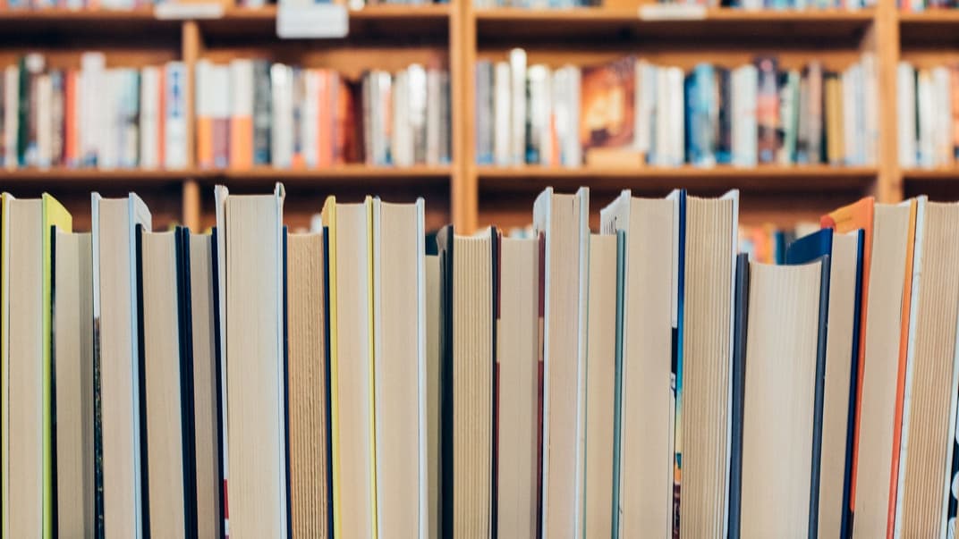 Иллюстративное фото