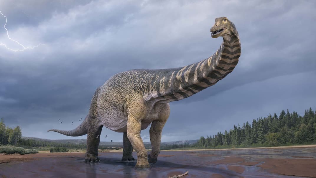 Австралотитан — крупнейший динозавр, остатки которого нашли в Австралии