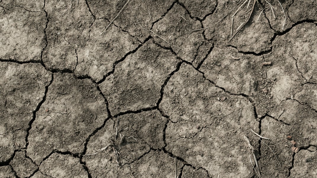 Иллюстративное фото