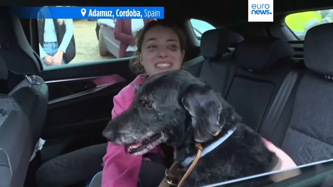 Ана возз'єдналася зі своїм зниклим собакою Боро