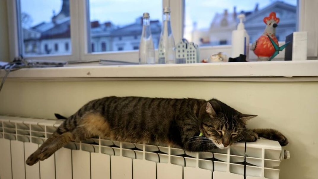 Ілюстративне фото