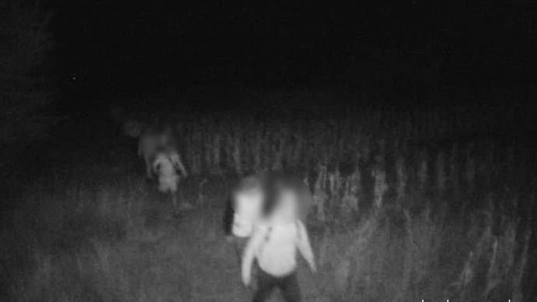 Полиция Молдовы задержала 11 украинцев, пытавшихся незаконно пересечь границу