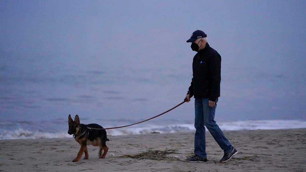 Президент Джо Байден выгуливает своего пса Командора на пляже Рехобот-Бич, штат Делавер, 28 декабря 2021 года
