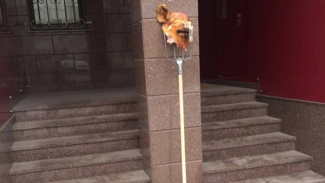 Біля офісу редакції співробітники видання «Гордон» 11 лютого виявили свинячу голову на вилах