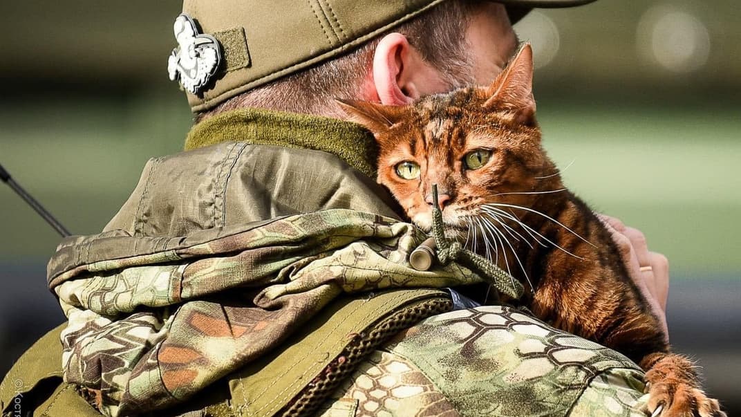 Український військовий тримає кота. Ілюстративне фото