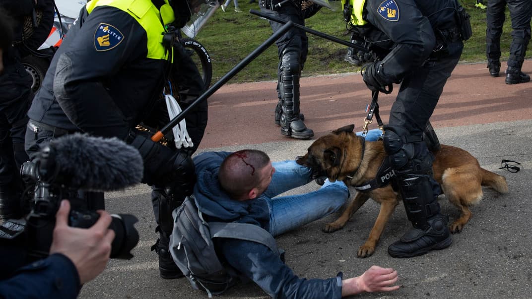 Протест коронаскептиков в Гааге, Нидерланды, 14 марта 2021 года